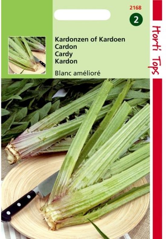 Cardy Blanc Ameliore (Cynara cardunculus) 50 Samen HT